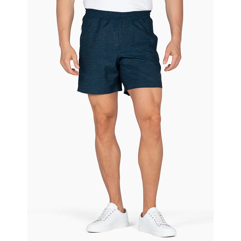 Birddogs Mens Gym Shorts Small Art Fartknockers-Blue Heather