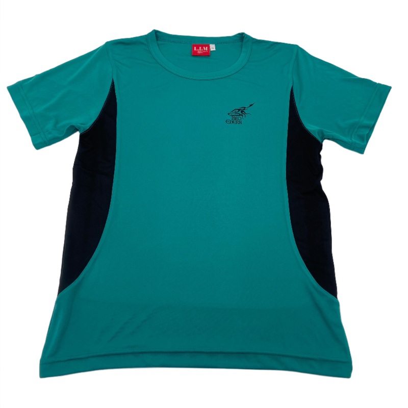 Ysgol Gyfun Gymraeg Bro Edern PE T-Shirt Regular Fit JS 9/10 JADE/BLACK