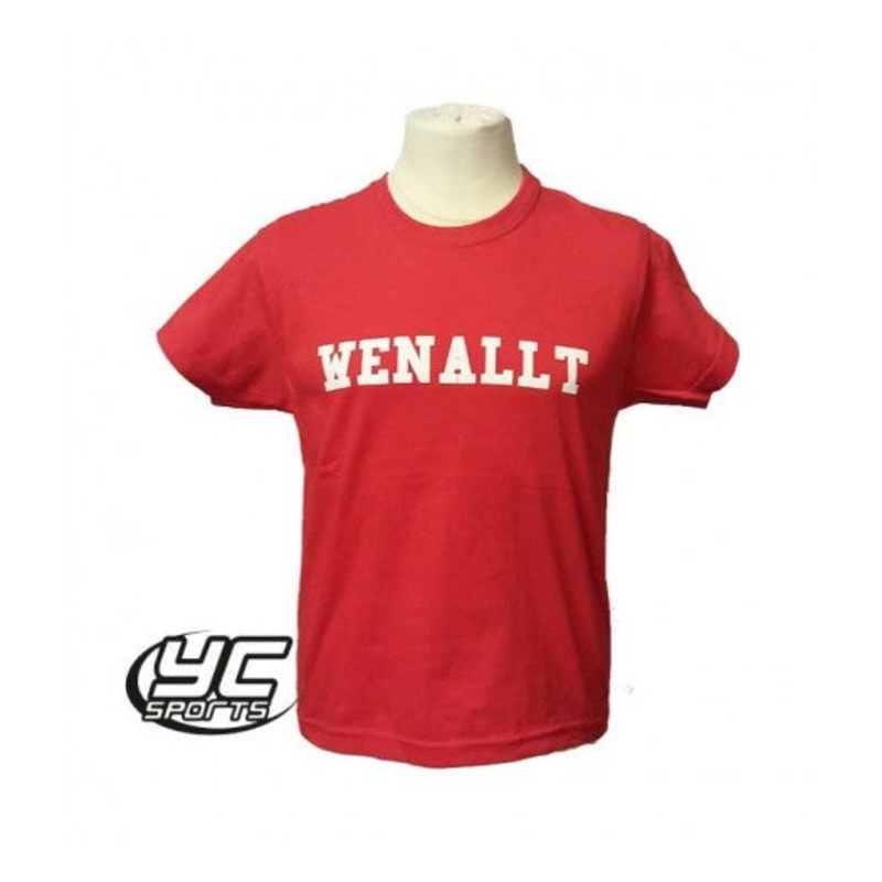 Rhiwbeina Primary School PE T Shirt Red 3/4 RED
