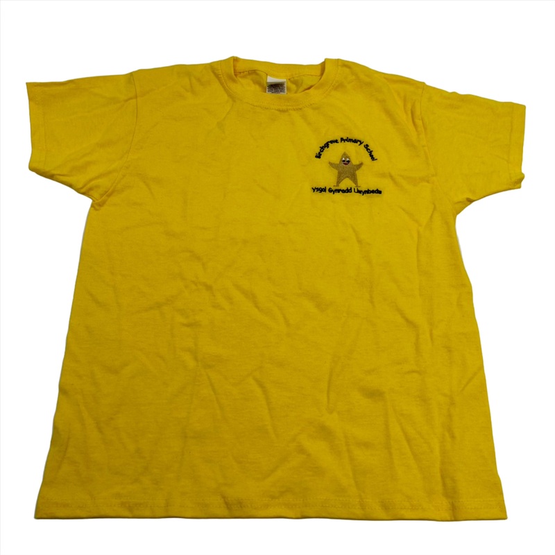 Birchgrove Primary School PE T-Shirt 3/4 YELLOW