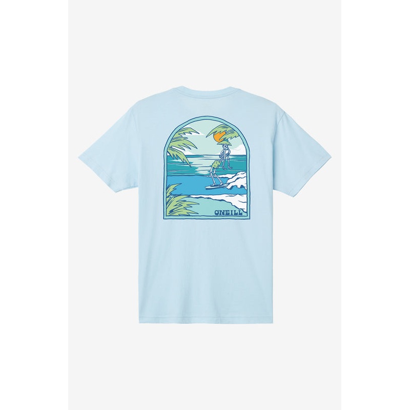 Oneill Mens Chill Bones Tee Sky Blue Heather Small