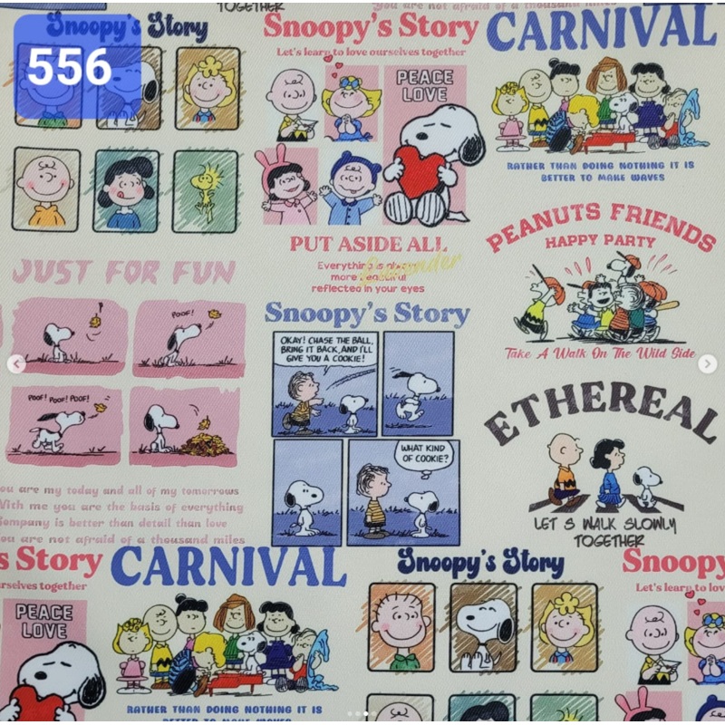 Handmade Water Resistant Racket Case (Snoopy Carnival Comics 556) Snoopy Carnival Comics 556