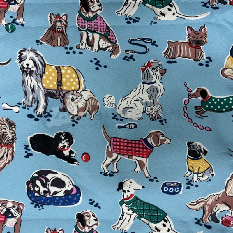 Handmade Water Resistant shoes bag (Fashionable Dogs 449) Fashionable Dogs 449
