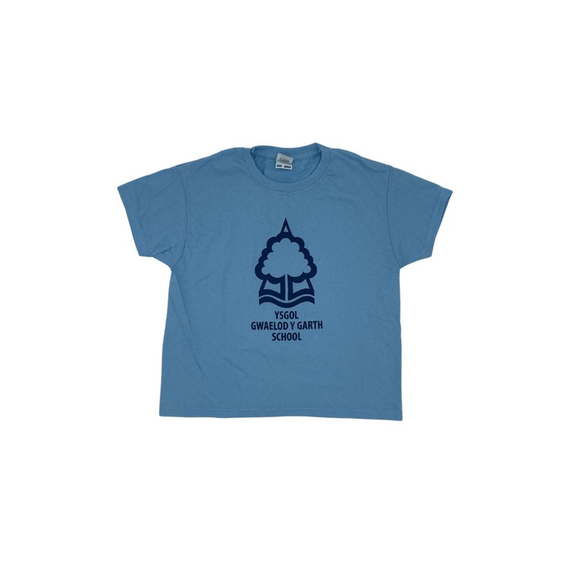 Ysgol Gwaelod Y Garth PE T Shirt 3/4 SKY