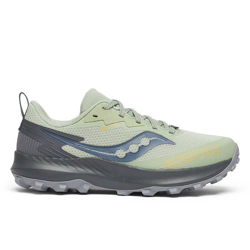 Saucony Women’s Peregrine 14 GTX Trail Sage/Carbon-253 6.5